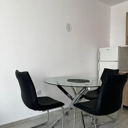 Apartment Radojkovic Lux