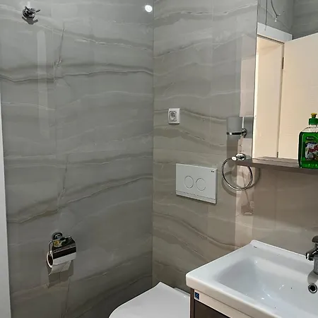 Appartamento Radojkovic Lux Golubac