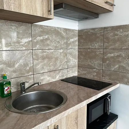 Apartment Radojkovic Lux