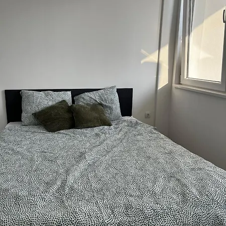 Radojkovic Lux Apartment Golubac