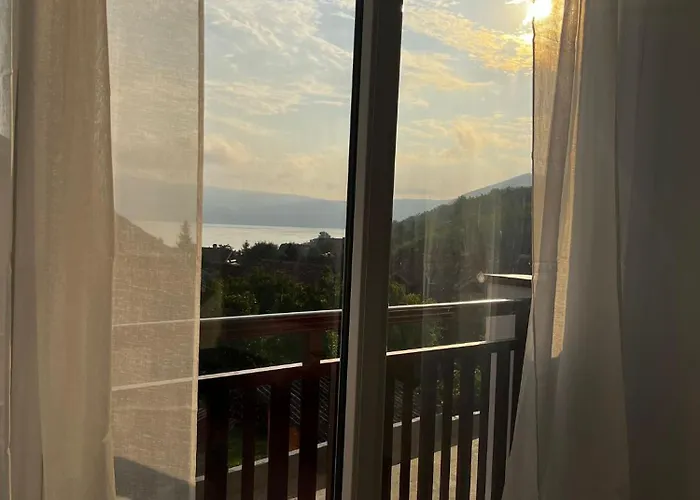 Radojkovic Lux * 골루바츠